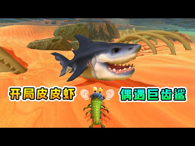 海底大猎杀01: 皮皮虾偶遇巨齿鲨
